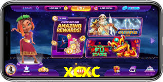 Premium Interface xcxc